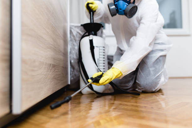 Best Pest Inspection Near Me  in Opp, AL