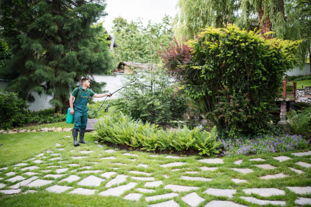 Best Ant Control Services  in Opp, AL