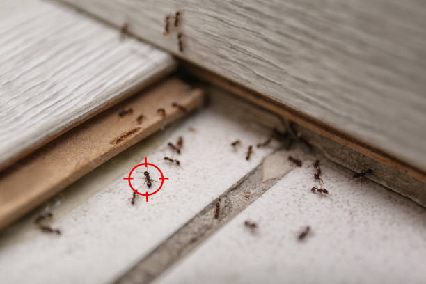 Opp, AL Pest Control Company
