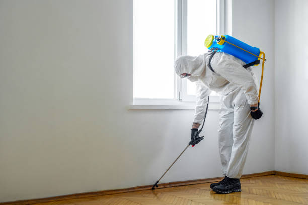 Best Pest Removal Services  in Opp, AL
