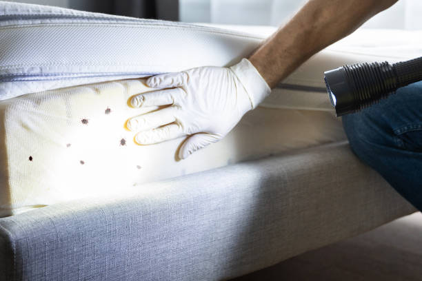 Best Best Pest Control Companies  in Opp, AL