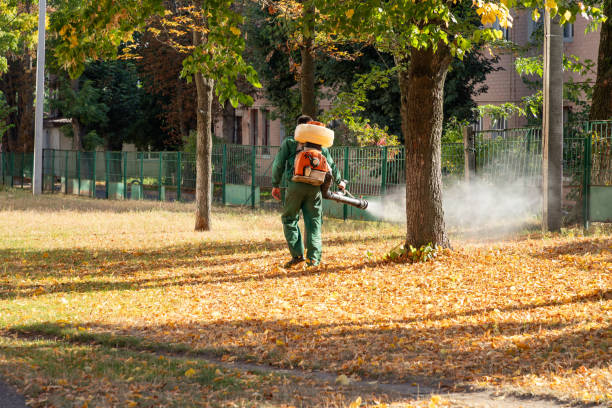 Best Pest Control for Homes  in Opp, AL