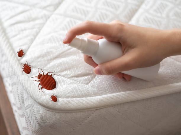 Best Bed Bug Extermination  in Opp, AL