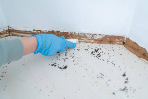 Best Pest Control for Restaurants  in Opp, AL