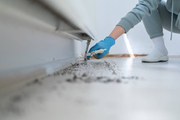 Best Pest Control Treatment  in Opp, AL